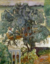 Der Baum am Flussufer