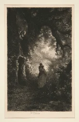 Stille und Nacht des Waldes