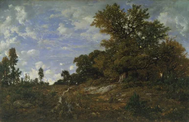 Am Waldrand bei Monts-Girard, Fontainebleau-Wald, 1852-54
