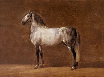 Pferd von Kaiser Napoleon I: der Cheikh