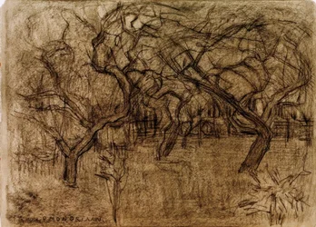 Obstgarten