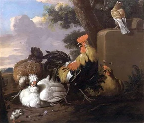 Vögel in einer Landschaft