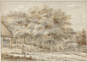 Waldweg mit zwei Häusern