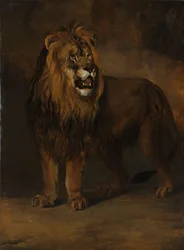 Ein Löwe aus der Menagerie von König Louis Napoleon