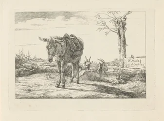 Ein Esel und zwei Ziegen