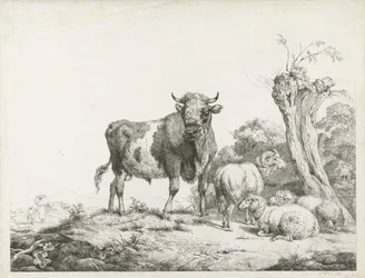 Ein Stier, ein Widder und zwei liegende Schafe bei einer Kopfweide