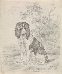 Sitzender Vorstehhund