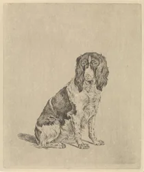 Sitzender Vorstehhund