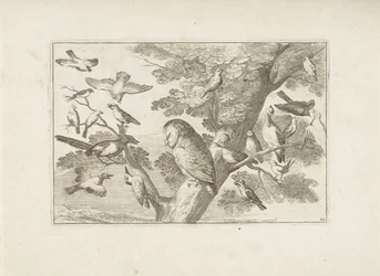 Eule und andere Vögel im Baum