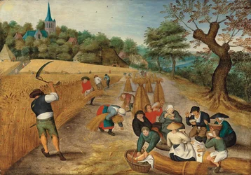 Sommer: Die Ernte