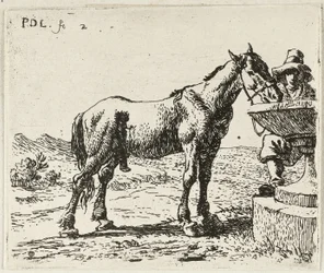 Trinkendes Pferd