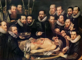 Die Anatomie-Lektion des Dr. Willem van der Meer in Delft