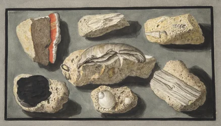 Proben von Tuffstein gefunden in und um Herculaneum, Tafel XXXXV, aus 