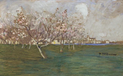 Frühling