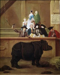 Nashorn: Ausstellung von Clara, einem indischen Nashorn. 1751. 18. Jahrhundert. Venezianisches Museum Ca