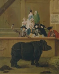 Das Nashorn, 1751