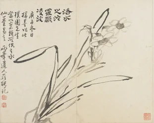 Landschaften, Blumen und Vögel: Narzisse, Qing-Dynastie