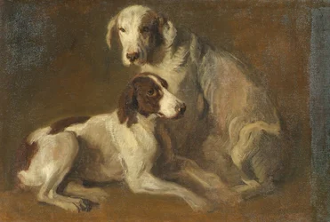 Hundestudie
