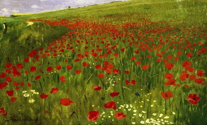 Wiese mit Mohnblumen