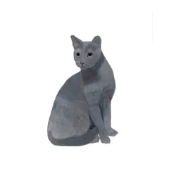 Russisch Blau, 2014