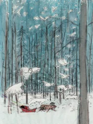 Der magische Wald