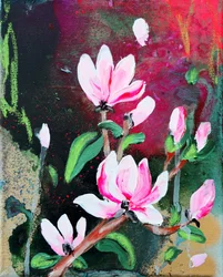 Rosa Magnolienblüten