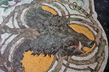 Boden mit Wildschweindarstellung