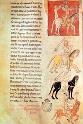 Die vier Reiter der Apokalypse, aus der Apokalypse des St. Jean de Lorvao