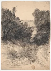 Holzstudie
