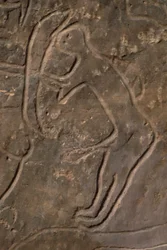 Menschliche Figur und Stierkopf (Felsgravur)