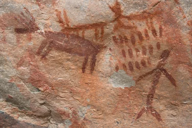 Höhlenmalerei, Salmon-Challis National Forest