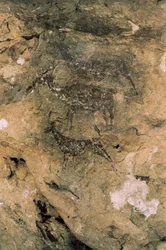Mesolithische Felskunst: Hirsche und Ziegen (8000-7000 v. Chr.), Spanien, Bicorp, La Arana Höhle
