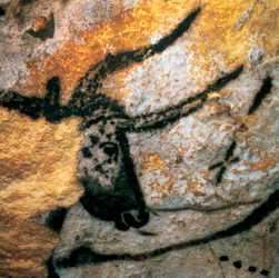 Wandmalerei, die einen Auerochsen darstellt, Stierzimmer, Höhle von Lascaux, Montignac, Dordogne, Frankreich, Paläolithikum Magdalénien