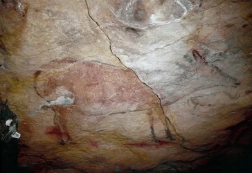 Prähistorisch: „Ein Hirsch“ Felsmalerei des oberen Paläolithikums (Magdalénien) (zwischen 16500 und 14000 Jahren) Steinzeit Höhle von Altamira, Santander, Spanien
