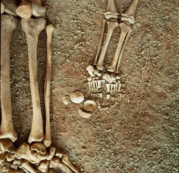 Prähistorie: Doppelsepultur von Erwachsenen und Kindern. Detailansicht des Grabbeigaben, an den Füßen des Kindes, drei Eichhörnchenschwänze, Muscheln und Steine aus der Höhle Arene Candide (Finale Ligure), Ligurien. Mesolithikum, 7000-6000 v. Chr.