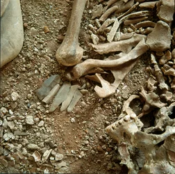 Vorgeschichte: Doppelte Bestattung von Erwachsenen und Kindern. Detailansicht des Grabbeigaben aus der Höhle Candid Arene (Finale Liguria), Ligurien. Mesolithikum, 7000-6000 v. Chr. Genua, Museo di Archeologia Ligure