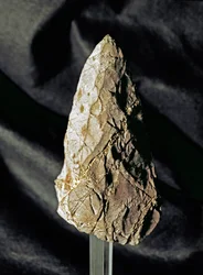 Vorgeschichte: mandelförmiger Faustkeil aus Feuerstein. Altpaläolithikum. Aus Torrimpietra bei Rom. Rom, Nationales Prähistorisches und Ethnografisches Museum Luigi Pigorini, Italien