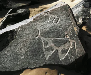 Urgeschichte, Felskunst: Gravur eines Rindes. Tazina-Stil. Steinzeit 5000-2000 v. Chr. Taghit, Hochplateau des Hoggar (Ahaggar), Algerien