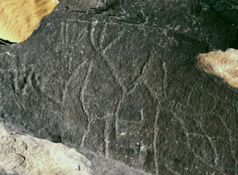 Urgeschichte, Felskunst: Gravur. Steinzeit 5000-2000 v. Chr. Taghit, Hochplateau des Hoggar (Ahaggar), Algerien