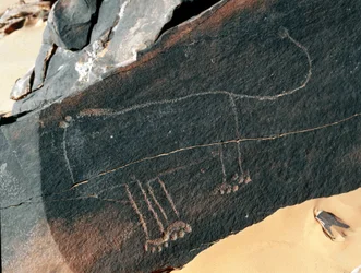 Vorgeschichte, Felskunst: Grabfelsen mit der Darstellung eines Löwen. Tazina-Stil. Steinzeit 5000-2000 v. Chr. Taghit, Hochplateau von Hoggar (Ahaggar), Algerien