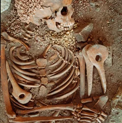 Prähistorie: Skelett und Grabbeigaben eines Jugendlichen, genannt der junge Prinz, aus der Höhle der Arene Candide (Finale Ligure): Halskette aus Muscheln, Hirschhorn und Feuerstein. Steinzeit, Oberes Paläolithikum. Genua, Museo di archeologia Ligure