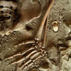 Prähistorisch: Jugendschmuck. Detailansicht des Grabbeigaben aus der Höhle von Candid Arene (Finale Ligure), Ligurien. Oberes Paläolithikum, 24000 v. Chr. Genua, Museo di Archeologia Ligure