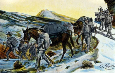 Erster Weltkrieg: Gruppe italienischer Alpenjäger auf Erkundung mit ihren Maultieren im Jahr 1915. Illustration von Quinto Cenni (1845-1917)