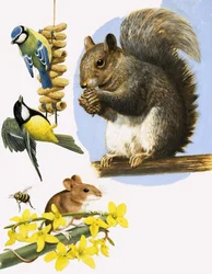 Fleißige kleine Tiere, darunter Blaumeise, Kohlmeise, Hummel, Feldmaus und Grauhörnchen