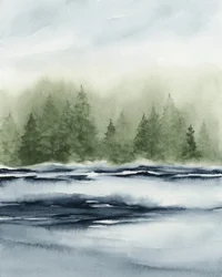 Nebliger Waldsee