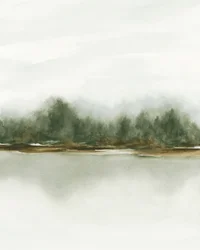 Neblige Waldspiegelung