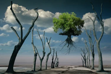 Surrealer schwebender Baum