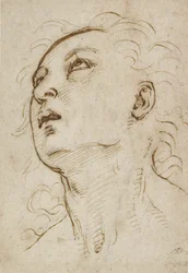 Kopf eines jungen Mannes, der nach oben schaut, ca. 1497-1504
