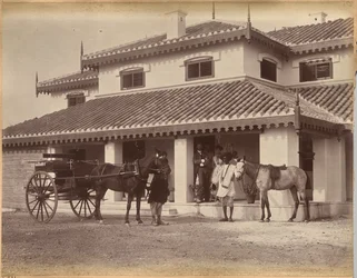 Mr. MacNull, Jhansi (Rückseite)