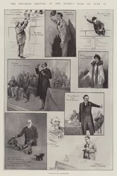 Das Pro-Boer-Treffen in der Queen